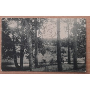 Piła.(Widok ogólny)