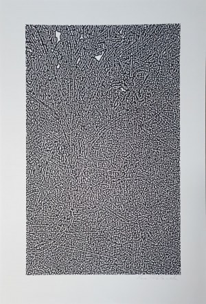 Ewa Walawska (b. 1943), Untitled
