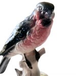Porcelain gil bird