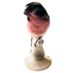 Porcelain gil bird