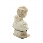 Bust of a young woman,
