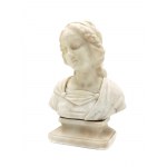 Bust of a young woman,