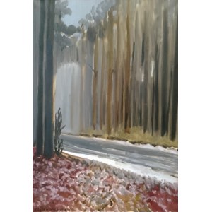 Katarzyna Slowikowska, Straße