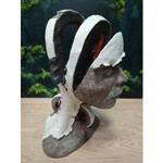 Jacek Opala, Head