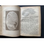 [KLOCEK] Kalendarz Polski ilustrowany 1891-1895. Rzemieślnik Polski 1900. Warszawa