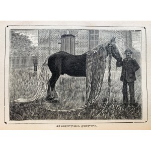 [KLOCEK] Kalendarz Polski ilustrowany 1891-1895. Rzemieślnik Polski 1900. Warszawa