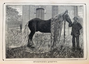 [KLOCEK] Ilustrovaný polský kalendář 1891-1895; Řemeslník Polska 1900. Varšava.