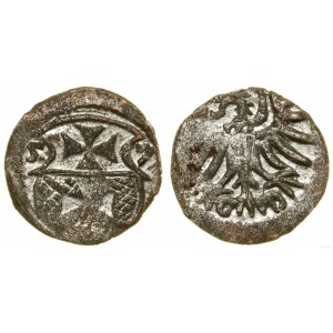 Poland, denarius, 1557, Elbląg