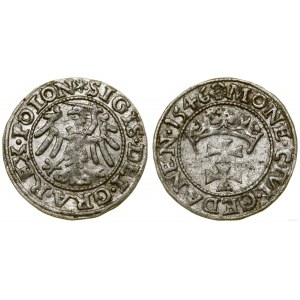 Pologne, sheląg, 1546, Gdansk