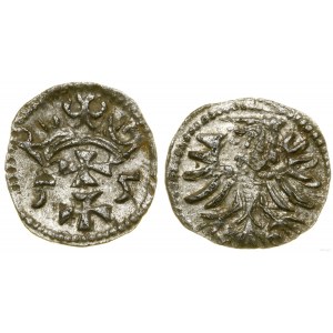 Polska, denar, 1555, Gdańsk