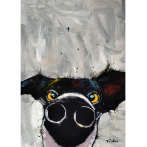 Piotr Piskorz, Dog Detective