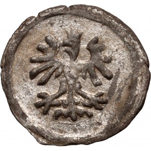Śląsk, Księstwo Cieszyńskie, Adam Wacław, halerz 1571, Skoczów