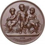 Austria, Medal Local Exhibition Knittelfeld 1889