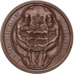 Austria, Medal Local Exhibition Knittelfeld 1889