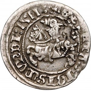 Zygmunt I Stary, półgrosz 1511, Wilno