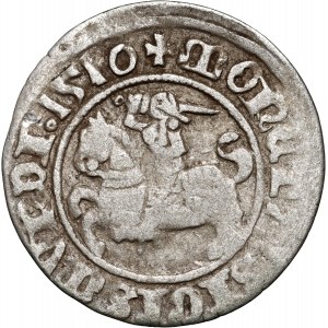 Zygmunt I Stary, półgrosz 1510, Wilno