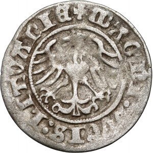 Zygmunt I Stary, półgrosz 1510, Wilno