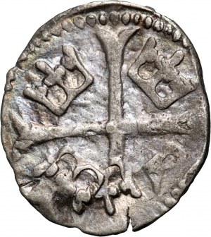Uhersko, Zikmund Lucemburský 1387-1437, parvus