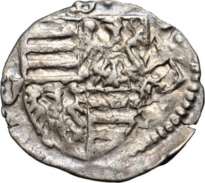 Uhersko, Zikmund Lucemburský 1387-1437, parvus