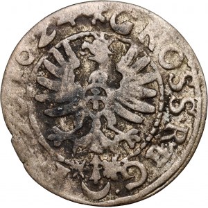 Zygmunt III Waza, grosz 1624, Bydgoszcz