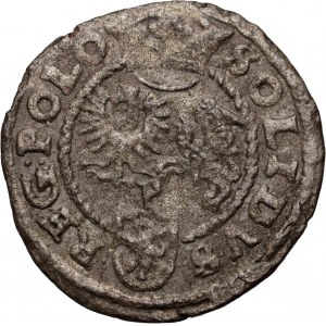 Zygmunt III Waza, szeląg 1616, Poznań, rzadszy