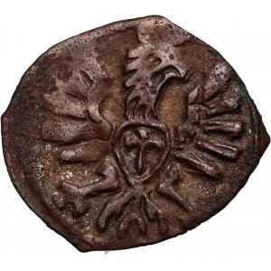 Zygmunt III Waza, denar 1607, Poznań, rzadki