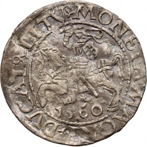Zygmunt II August, półgrosz 1560, Pogoń, Wilno