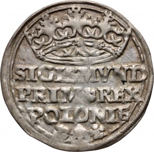 Zikmund I. Starý, penny 1528, Krakov