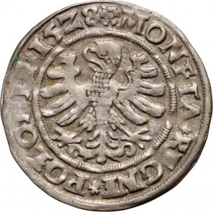 Zikmund I. Starý, penny 1528, Krakov