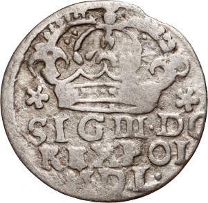 Zikmund III Vasa, penny 1624, Bydgoszcz