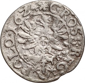 Zikmund III Vasa, penny 1624, Bydgoszcz