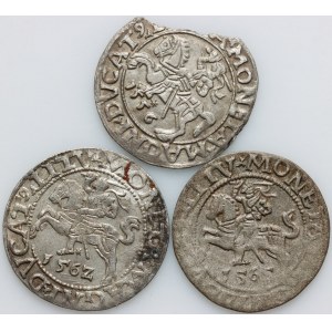 Zygmunt II August, zestaw półgroszy z lat 1556-1562, (3 sztuki)
