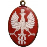 Patriotic jewelry, eagle on shield with red enamel, 19th century