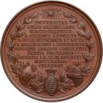 Germany, Bavaria, medal from 1882, Ludwig II