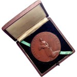 II RP, 1926 award medal, Ministry of Agriculture, E. Wittyg, original box