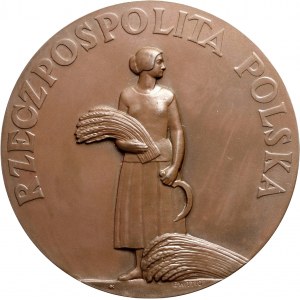 II RP, medal nagrodowy z 1926 roku, Ministerstwa Rolnictwa, E. Wittyg, oryginalne pudełko