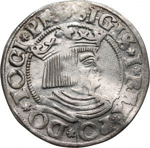 Zikmund I. Starý, groš 1533, Gdaňsk, otevřená koruna