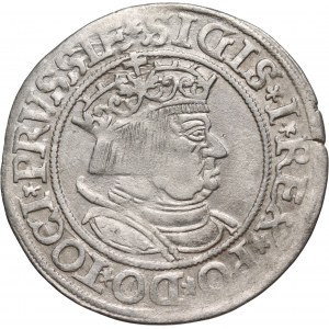 Zygmunt I Stary, grosz 1534, Toruń
