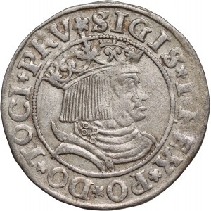 Zygmunt I Stary, grosz 1531, Toruń