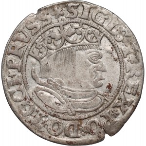 Zygmunt I Stary, grosz 1533, Toruń