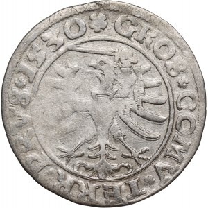 Zygmunt I Stary, grosz 1530, Toruń