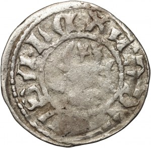 Poland, Moldova, Alexander the Good 1400-1432, penny no date