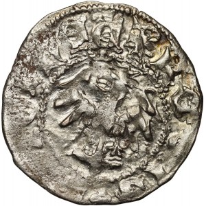 Władysław Jagiełło 1386-1434, półgrosz, Kraków, bez sygnatur