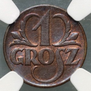 II RP, grosz 1923