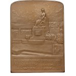 Austria, plaque from 1907, Unveiling of the monument to Empress Elisabeth in the Volksgarten in Vienna
