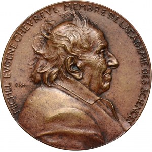 France, medal from 1880, Michel Eugène Chevreul, Member of the Academy of Sciences