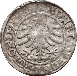 Zikmund I. Starý, penny 1528?, Krakov