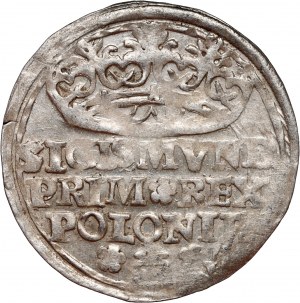Zikmund I. Starý, penny 1529, Krakov