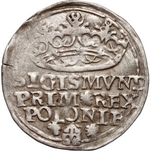 Zygmunt I Stary, grosz 1529, Kraków