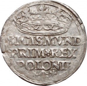 Zikmund I. Starý, penny 1528?, Krakov